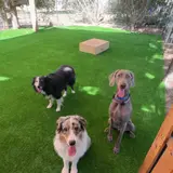 תמונת לקוח עבור גל סויס