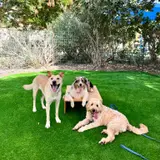 תמונת לקוח עבור אהן זמר