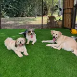 תמונת לקוח עבור נדב לוי