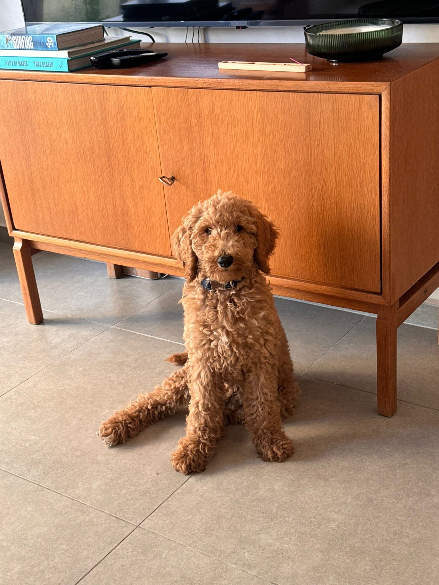 תמונת לקוח עבור דקל כהן