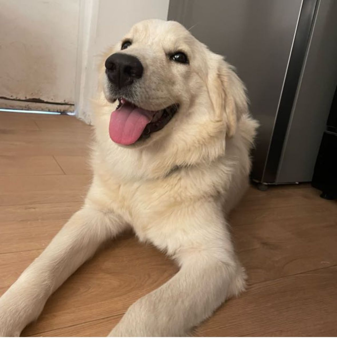 תמונת לקוח עבור אליה אבגיל