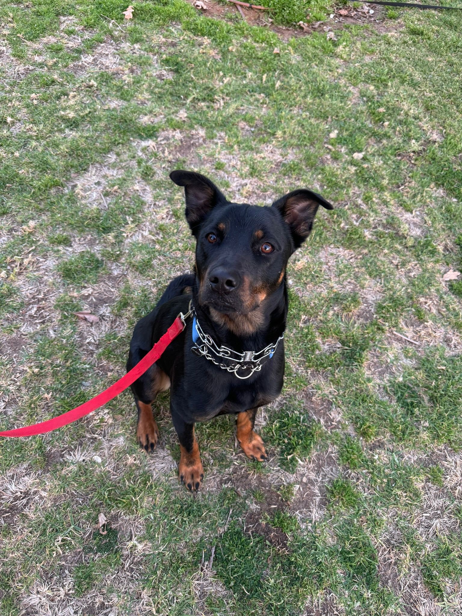 תמונת לקוח עבור איתי ססה