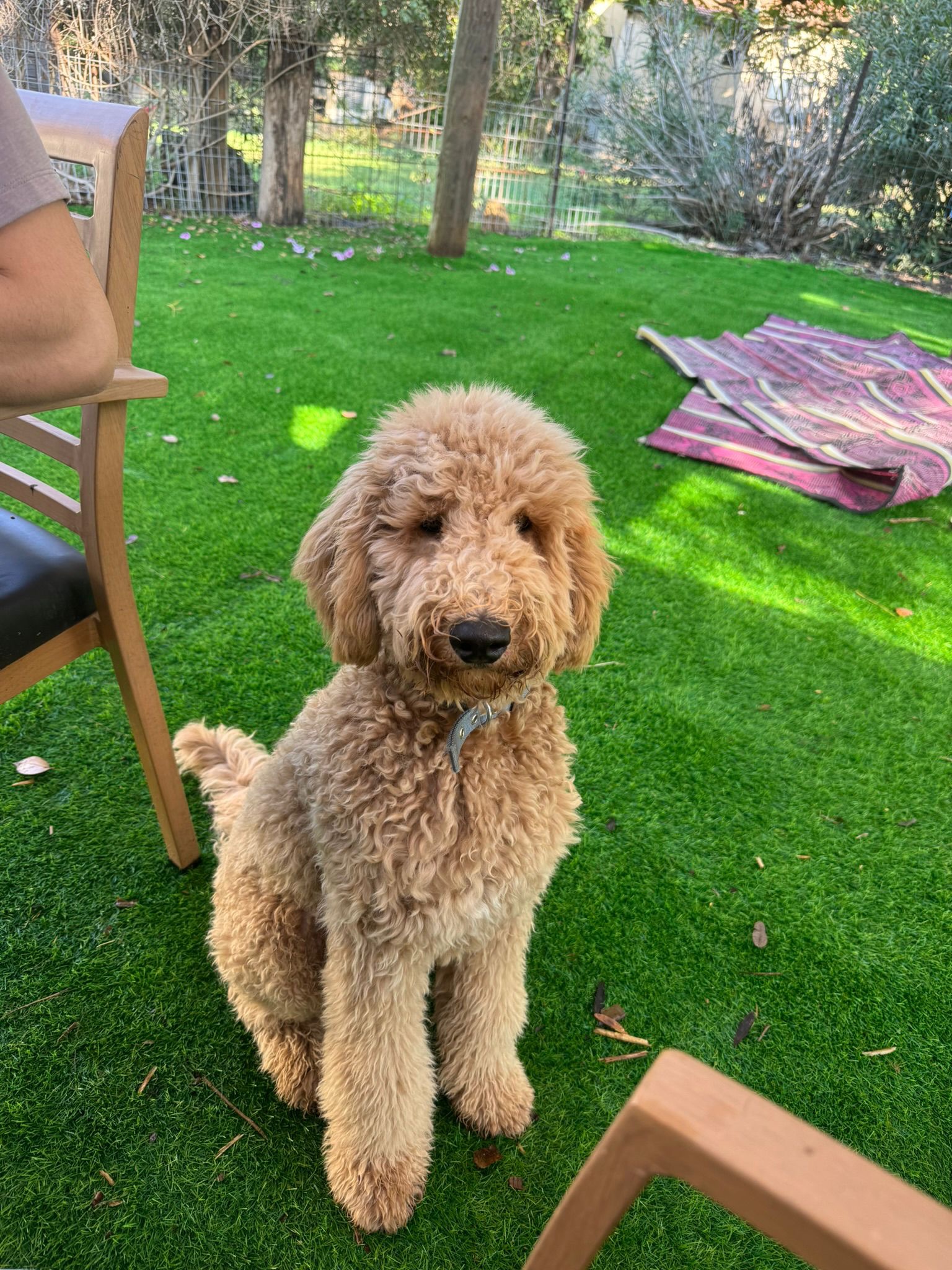 תמונת לקוח עבור לחן זמר