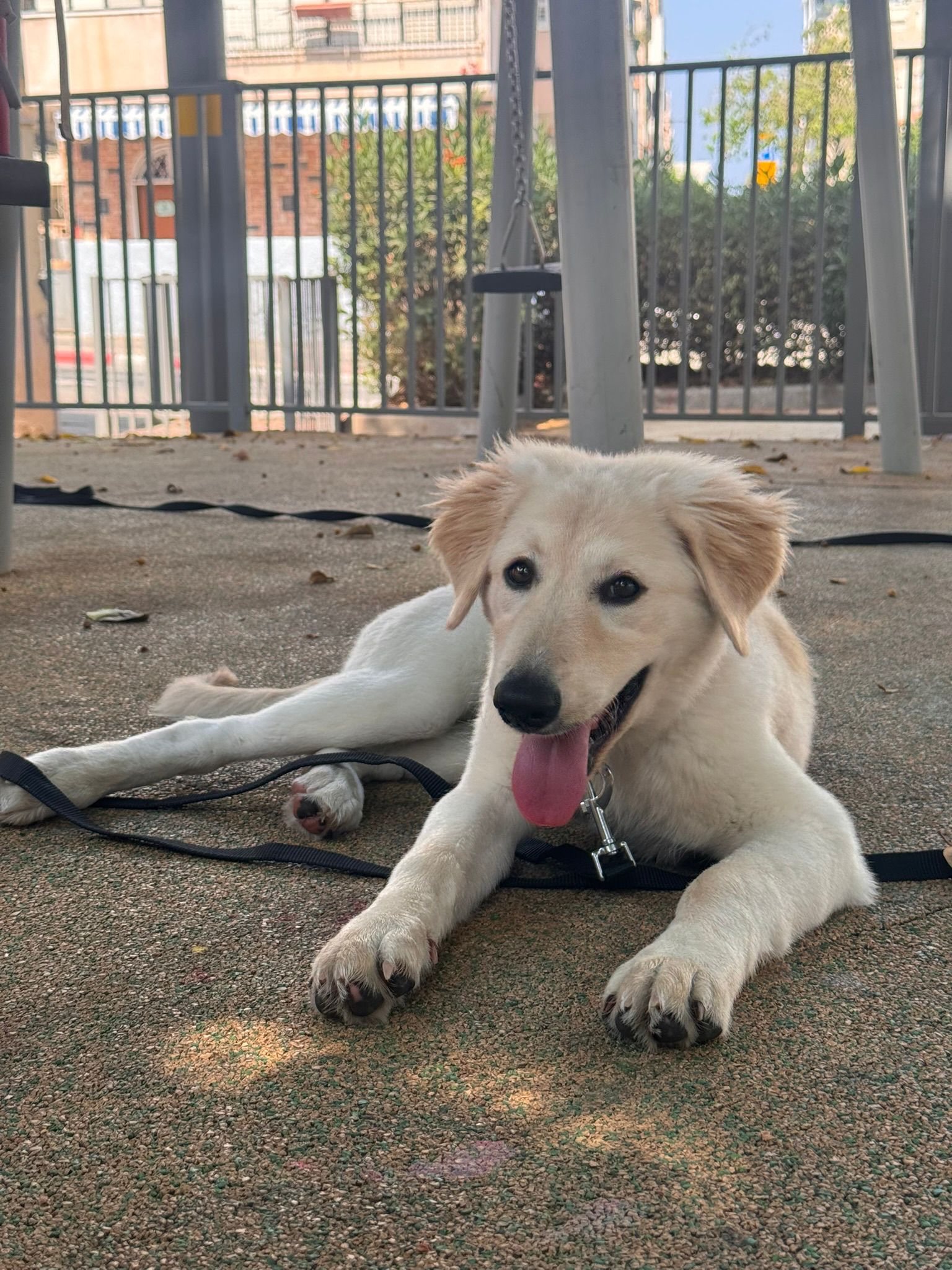 תמונת לקוח עבור ליאור עובדיה