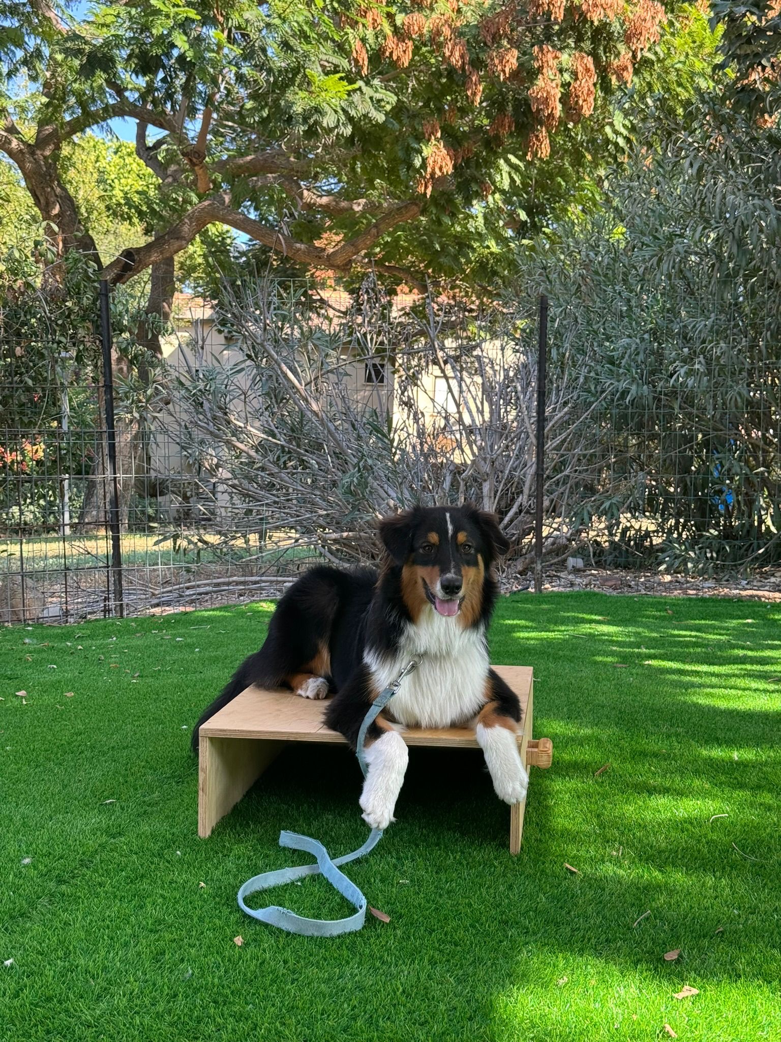 תמונת לקוח עבור נדב בן חיים