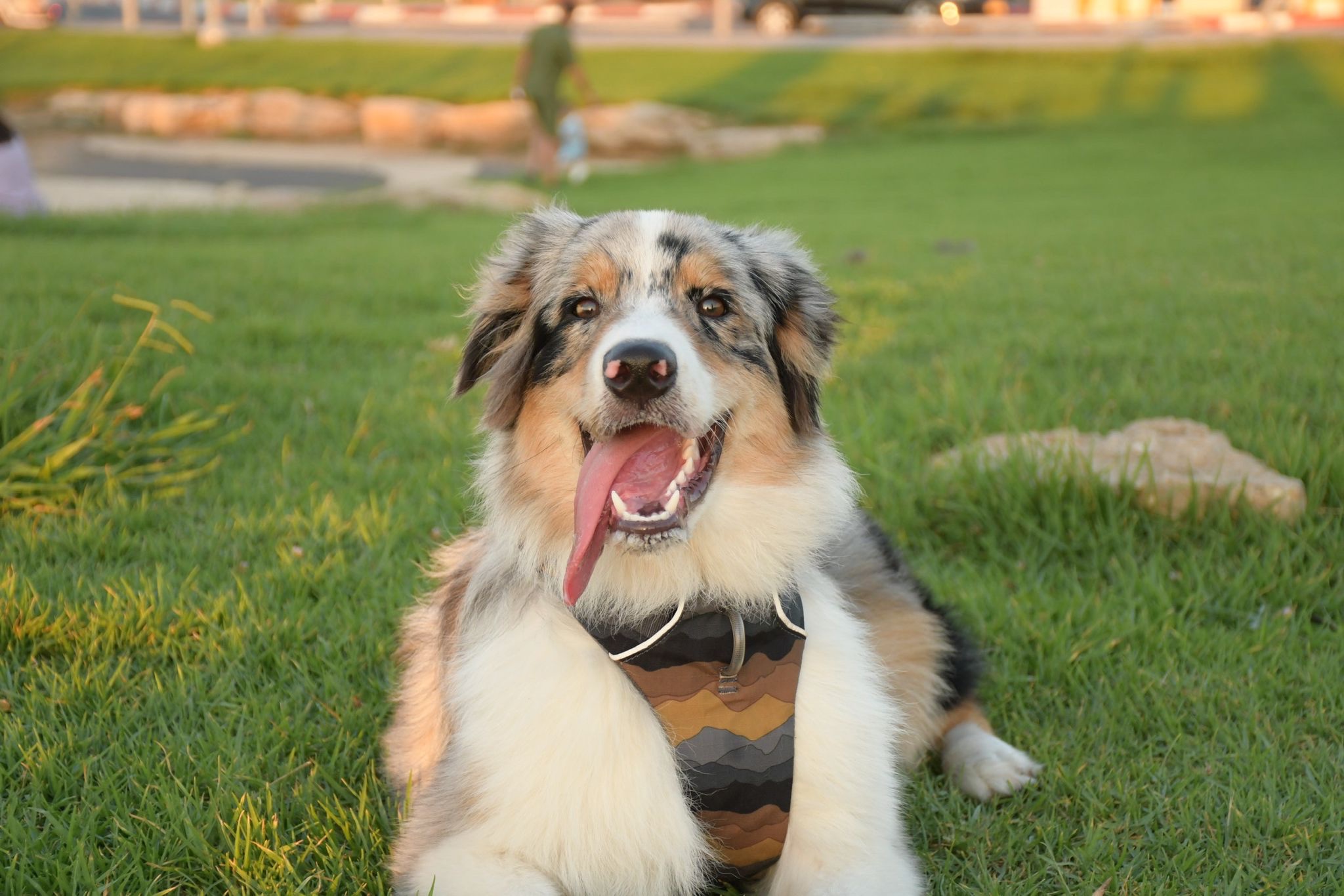 תמונת לקוח עבור יובל אמיר
