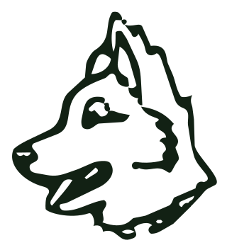 שחף הררי - אילוף